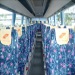 租車服務|出租車|香港租車服務公司